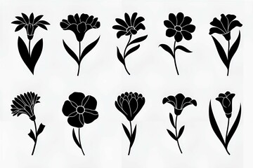 Fototapete - collection of black and white floral design elements with simple and minimalistic flower illustrations