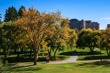 Wall Mural - a couple is walking on a path in a park with trees in the background