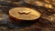 © Chanwit - Investing in digital currency golden coin on rock surface close-up nature outdoor financial growth