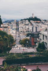 A view from the top of Lombard Street in San Francisco, looking towards Coit Tower and the Bay Bridge with residential houses and trees lining the street