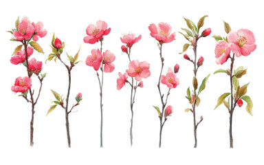 Wall Mural - A collection of pink flowering branches 