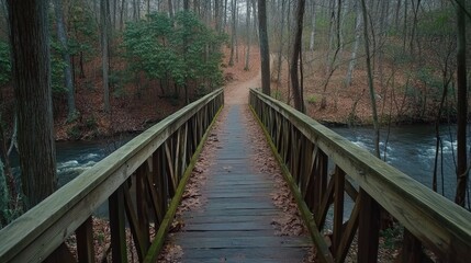 Aufkleber - Serene Footbridge Overlooking a Calm Creek Surrounded by Dense Woods in Early Autumn