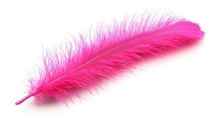 Poster - Vibrant Pink Feather Isolated on Clean White Background for Creative and Decorative Use
