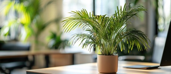 Poster - Palm plants enhancing a modern workspace with greenery and elegance creating a calming atmosphere for improved decor and productivity.