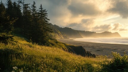 Poster - Tranquil Pacific Coast Landscape at Sunset with Lush Greenery and Gentle Ocean Waves