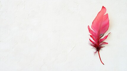Poster - Vibrant pink feather delicately placed on a clean white background highlighting natural beauty and elegance.