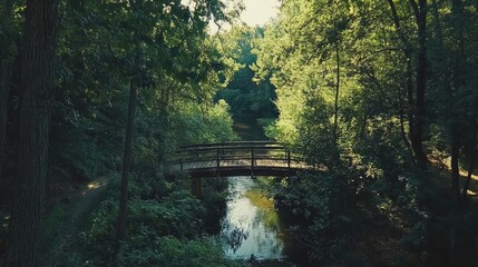 Aufkleber - Serene Footbridge Overlooking a Tranquil Creek in a Lush Forest Setting
