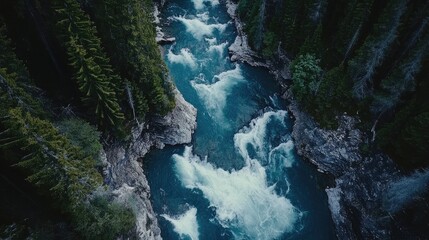 Poster - Aerial view of a river with swirling waters and scattered ice chunks surrounded by a lush forest creating a captivating natural mosaic