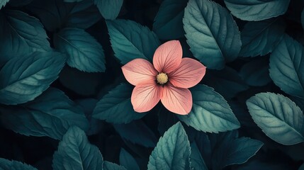 Aufkleber - Delicate pink flower amidst lush green leaves creating a serene botanical atmosphere for nature-themed designs.