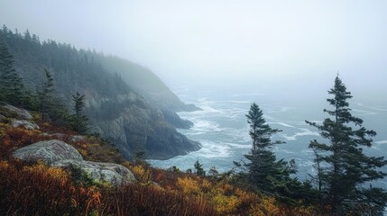 Poster - Foggy coastal landscape with rocky cliffs and evergreen trees surrounded by tranquil waters and autumn foliage.