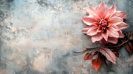 Poster - Elegant pink dahlia flower on a textured blue and grey background showcasing nature's beauty and artistic design.
