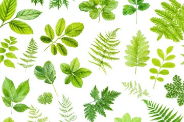 Wall Mural - Green Leaf Collection, Watercolor Style