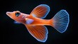 © Fadil - Vibrant orange fish with glowing blue accents swimming gracefully.