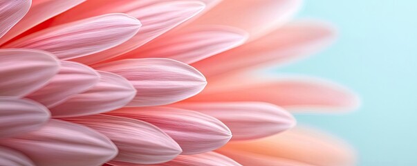 Poster - Pastel abstract background idea. Delicate petals in soft pink tones evoke tranquility and natural beauty.