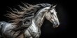 © udomsak - Majestic Andalusian horse on black background with intricate details of its coat and flowing mane , equine, elegance
