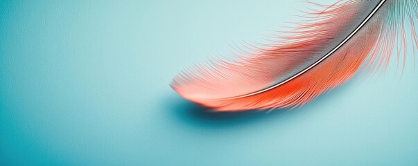 Poster - Feather abstract background concept. A delicate pink feather on a soft blue background, showcasing beauty and elegance.