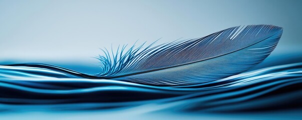 Poster - Feather abstract background concept. A serene blue feather floating gently on calm water, embodying tranquility and peace.