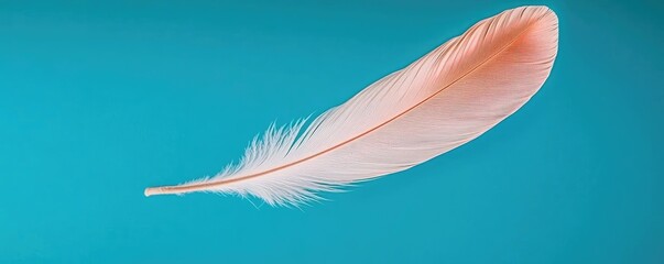 Poster - Feather abstract background concept. A delicate pink feather gracefully floating on a vibrant blue background.
