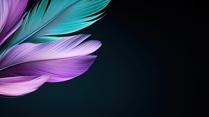 Poster - Feather abstract background concept. Vibrant, colorful feathers blend seamlessly into a dark background, showcasing elegance.