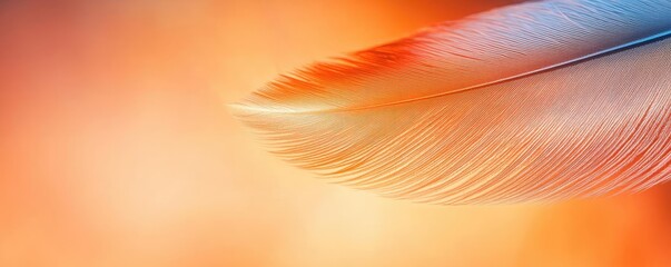 Poster - Feather abstract background concept. A pristine feather glides through a vibrant background of warm colors.