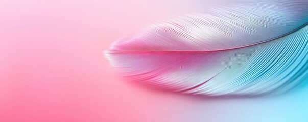 Poster - Feather abstract background concept. A vibrant feather with smooth gradients of pink and blue on a soft background.