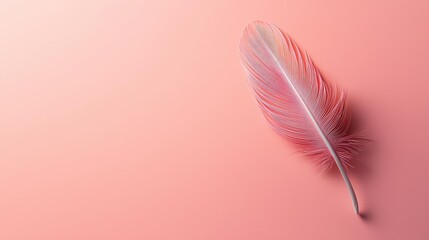Poster - Feather abstract background concept. A delicate pink feather resting on a soft pastel background, symbolizing lightness.