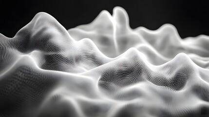 Leinwandbilder - Abstract Black and White Backgrounds. Abstract digital landscape with undulating waves. A grayscale gridded terrain creates a sense of depth and texture