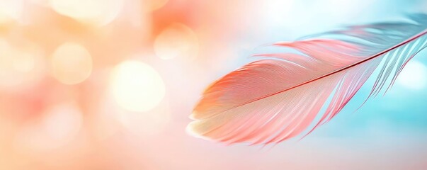 Poster - Feather abstract background concept. A soft, colorful feather gently floats against a dreamy background of pastel hues.