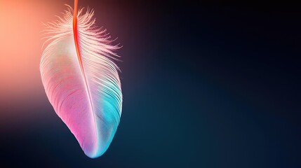 Poster - Feather abstract background concept. A vibrant feather with colorful hues floating against a dark background.