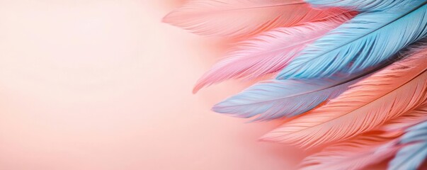 Poster - Feather abstract background concept. Colorful feathers arranged artistically on a soft pastel background.