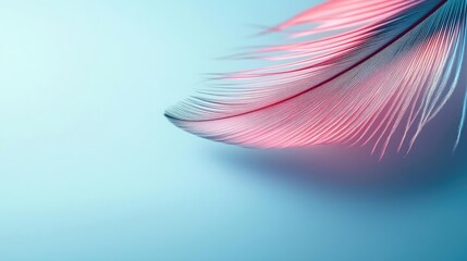 Poster - Feather abstract background concept. A close-up view of a colorful feather with a gradient background.