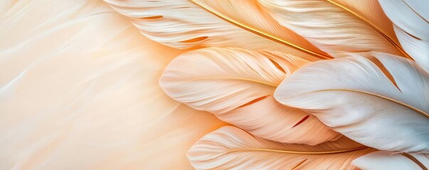 Aufkleber - Feather abstract background concept. Close-up of delicate feathers in soft hues of white and peach, creating an elegant texture.
