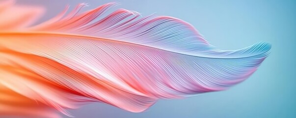 Poster - Feather abstract background concept. A delicate, colorful feather showcasing gentle curves and soft gradients.