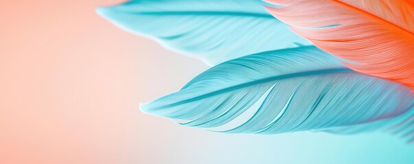 Poster - Feather abstract background concept. Vibrant colored feathers showcasing delicate textures and beautiful hues.