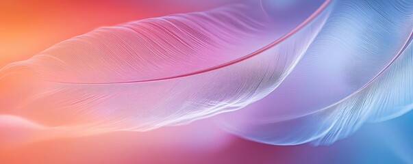 Poster - Feather abstract background concept. Abstract colorful background with flowing lines and soft textures creating a serene atmosphere.