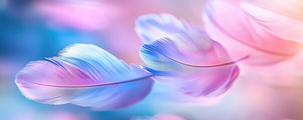 Poster - Feather abstract background concept. Beautiful pastel feathers drifting gently in a colorful ethereal background.
