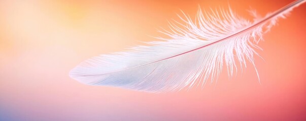 Poster - Feather abstract background concept. A delicate feather floating against a dreamy orange and pink background.