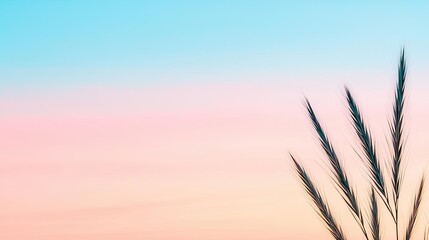 Poster - Minimal skies concept. Elegant silhouette of grass against a soft pastel sunset sky.