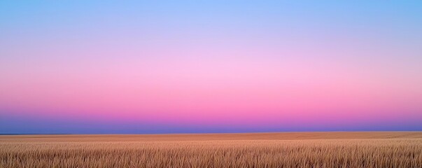Aufkleber - Minimal skies idea. Stunning sunset over a serene field, showcasing a vibrant gradient of colors.