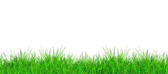 Green grass field border isolated on transparent background. Natural fresh green grass field lawn. Spring decoration design elements, PNG