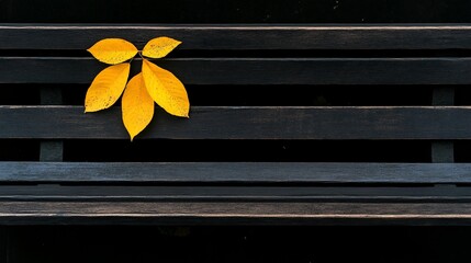 Poster - Yellow autumn leaves on dark park bench.