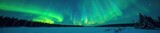 The aurora borealis dances in the darkness of a clear Wasilla night, clear skies, aurora borealis, mystical atmosphere