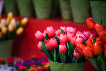 The main tourist symbol of the Netherlands is Dutch wooden shoes, wooden tulips and miniatures of windmills, a shop window. Traditional wooden colorful tulips sold at market. Colorful souvenirs.