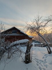 Poster - A house with a snow covered roof and a tree in front of it