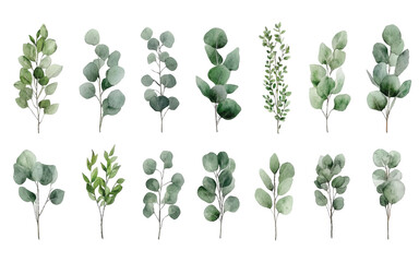 Wall Mural - A collection of various green leaves illustrated in a watercolor