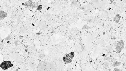 Poster - Polished terrazzo marble floor texture in black and white. Modern white and black marble terrazzo texture with abstract patterns. Exquisite white and black marble floor, a stunning display of natural 