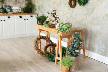 Wall Mural - Wooden table on which there are green plants in flowerpots, watering can, flowers on a background of a grey wall. Living room in rustic style in summer. Flowers shop. Interior workplace florist.	
