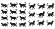 © Mahmud Hasan Rashed - Set of cat walking and running silhouettes, Abstract cat silhouettes collection for design projects, Various cat silhouettes in different poses, Set of cat silhouettes on white background
