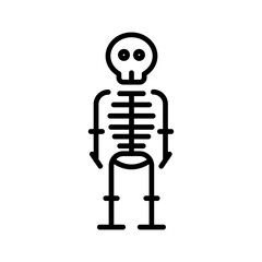 skeleton vector icon