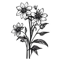 Wall Mural - Three sketched flowers on stems with leaves.